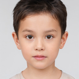 Neutral white child male with short  brown hair and brown eyes