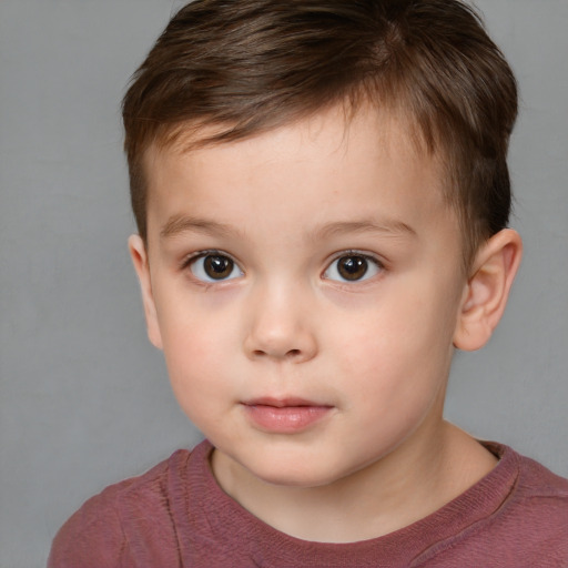 Neutral white child male with short  brown hair and brown eyes