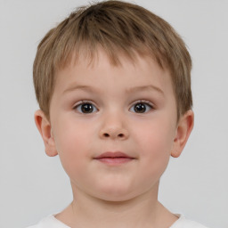 Neutral white child male with short  brown hair and brown eyes