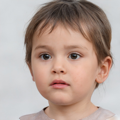 Neutral white child male with short  brown hair and brown eyes