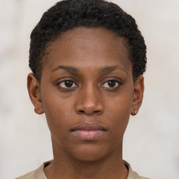 Neutral black young-adult female with short  brown hair and brown eyes