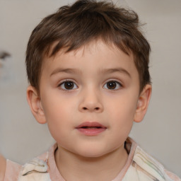 Neutral white child male with short  brown hair and brown eyes