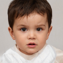 Neutral white child male with short  brown hair and brown eyes