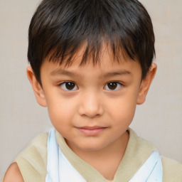 Joyful white child male with short  brown hair and brown eyes