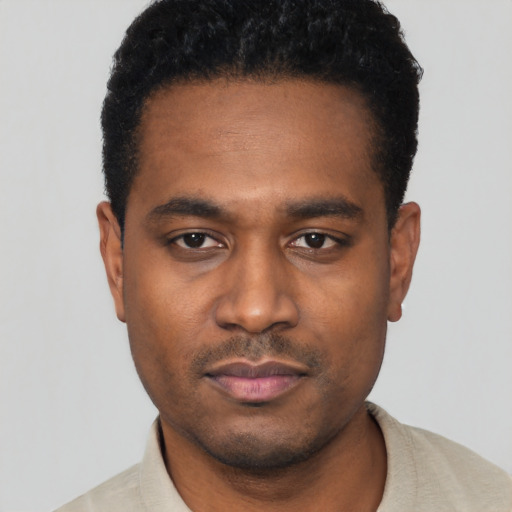 Joyful black young-adult male with short  black hair and brown eyes