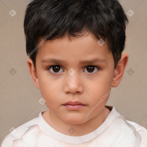 Neutral white child male with short  brown hair and brown eyes