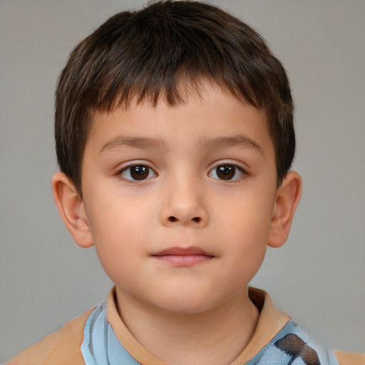 Neutral white child male with short  brown hair and brown eyes