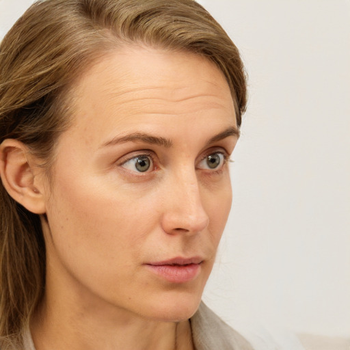 Neutral white young-adult female with long  brown hair and grey eyes