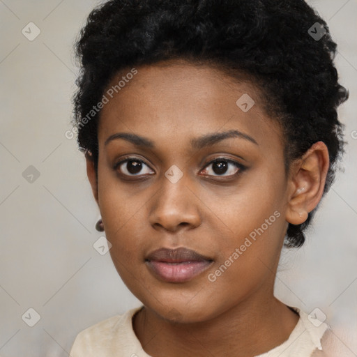 Neutral black young-adult female with short  brown hair and brown eyes