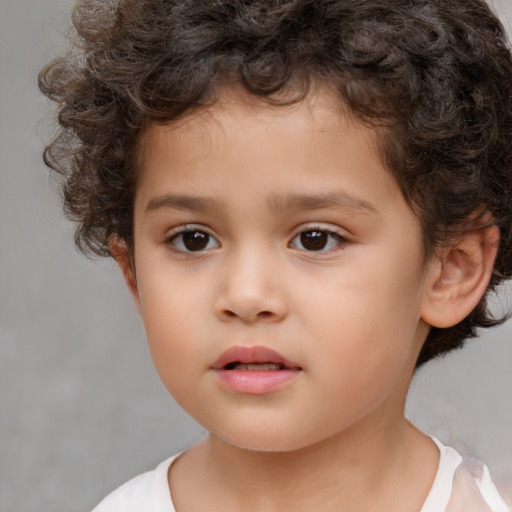 Neutral white child male with short  brown hair and brown eyes