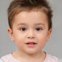 Neutral white child male with short  brown hair and brown eyes