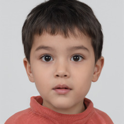 Neutral white child male with short  brown hair and brown eyes