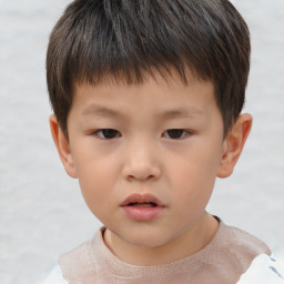 Neutral white child male with short  brown hair and brown eyes