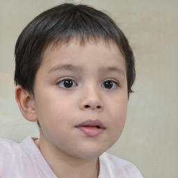 Neutral white child male with short  brown hair and brown eyes