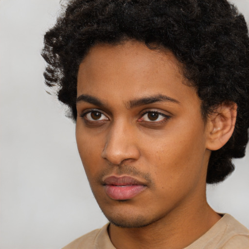 Neutral black young-adult female with short  black hair and brown eyes