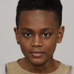 Neutral black young-adult male with short  brown hair and brown eyes