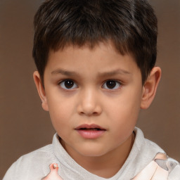 Neutral white child male with short  brown hair and brown eyes