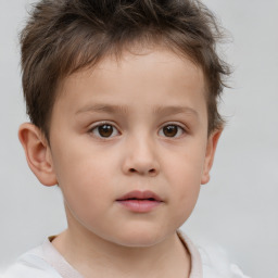 Neutral white child male with short  brown hair and brown eyes