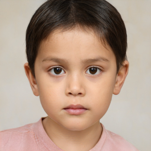 Neutral white child male with short  brown hair and brown eyes