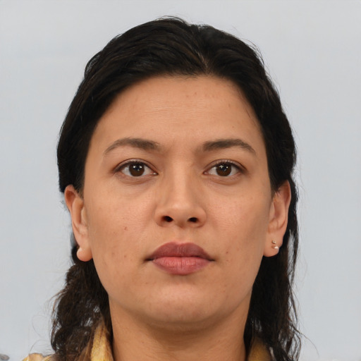 Neutral asian adult female with medium  brown hair and brown eyes