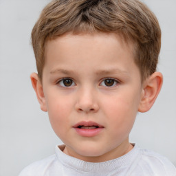 Neutral white child male with short  brown hair and brown eyes