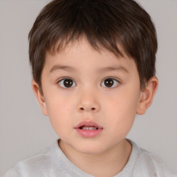 Neutral white child male with short  brown hair and brown eyes