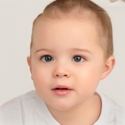 Neutral white child female with short  brown hair and brown eyes
