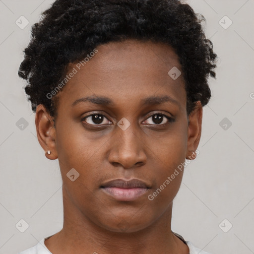 Neutral black young-adult female with short  brown hair and brown eyes