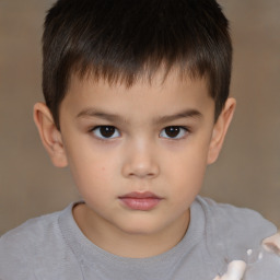 Neutral white child male with short  brown hair and brown eyes