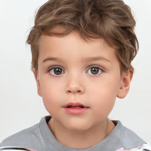 Neutral white child male with short  brown hair and brown eyes