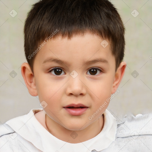 Neutral white child male with short  brown hair and brown eyes