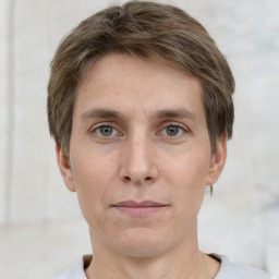 Neutral white young-adult male with short  brown hair and grey eyes