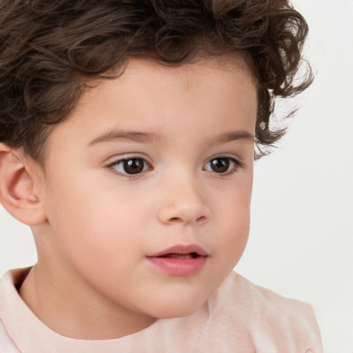 Neutral white child male with short  brown hair and brown eyes