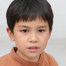 Neutral white child male with short  brown hair and brown eyes