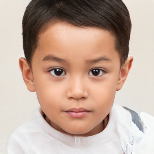 Neutral white child male with short  brown hair and brown eyes