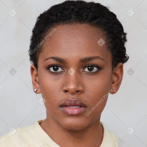 Neutral black young-adult female with short  black hair and brown eyes