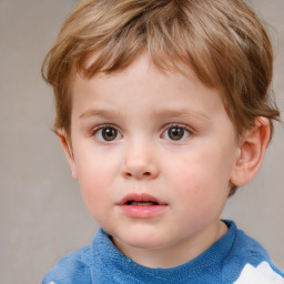 Neutral white child male with short  brown hair and grey eyes