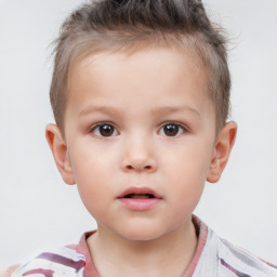 Neutral white child male with short  brown hair and brown eyes