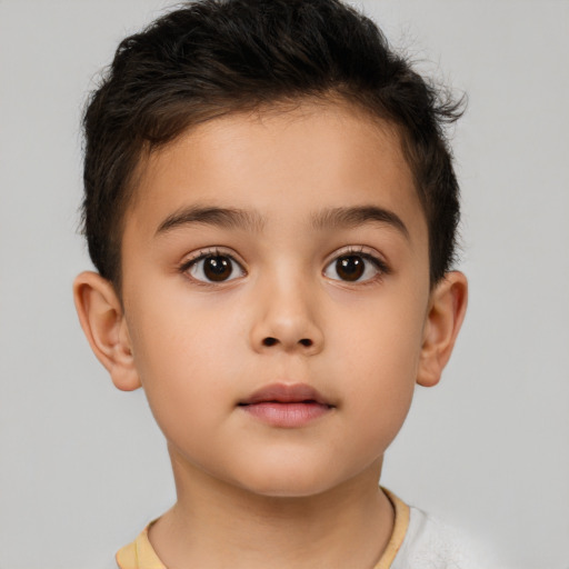 Neutral white child male with short  brown hair and brown eyes