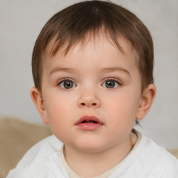 Neutral white child male with short  brown hair and brown eyes