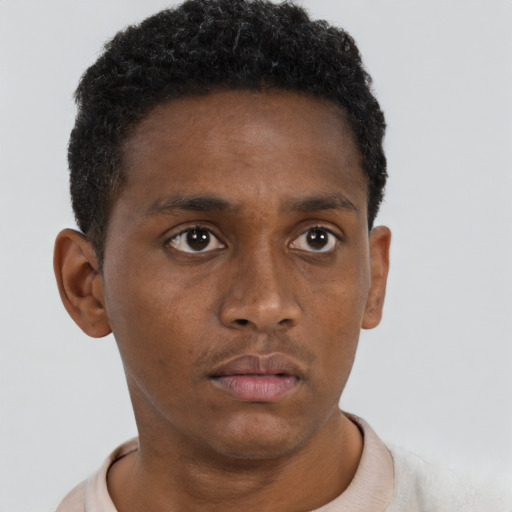Neutral black young-adult male with short  brown hair and brown eyes