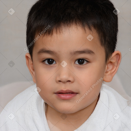 Neutral white child male with short  brown hair and brown eyes