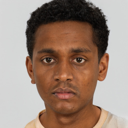 Neutral black young-adult male with short  black hair and brown eyes