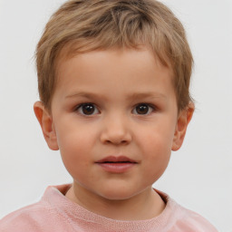Neutral white child male with short  brown hair and brown eyes