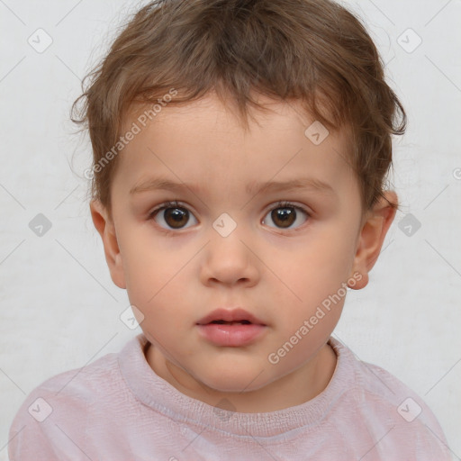 Neutral white child male with short  brown hair and brown eyes