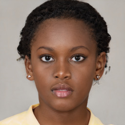 Neutral black young-adult female with short  brown hair and brown eyes