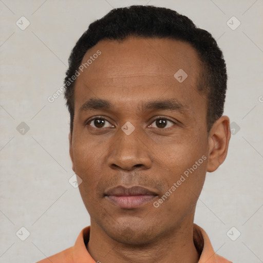 Joyful black young-adult male with short  black hair and brown eyes