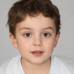 Neutral white child male with short  brown hair and brown eyes