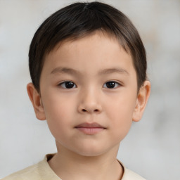 Neutral white child male with short  brown hair and brown eyes