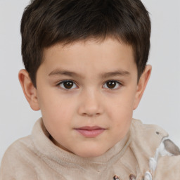 Neutral white child male with short  brown hair and brown eyes